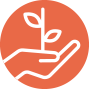 Icon of hand holding a growing plant