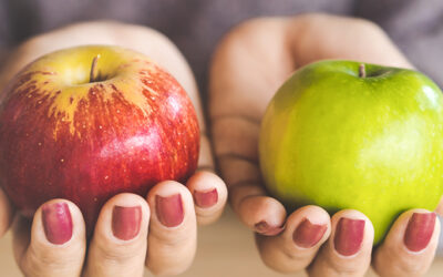 Fractional CMO vs. Marketing Agency: Which Is Right for You?